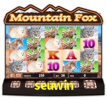 PIX Instantâneo seuwin